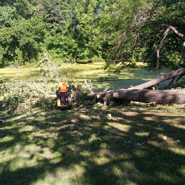 storm damage cleanup