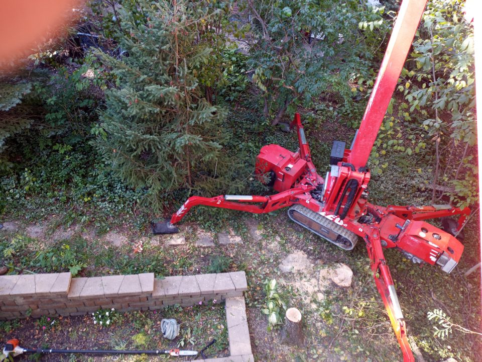 Bieniek Tree Service team performing emergency tree removal in Moline, Illinois, showcasing professional tree care.