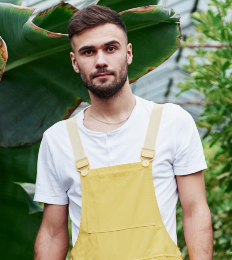 Bieniek Tree Service team performing tree trimming and stump grinding for safety and customer satisfaction.