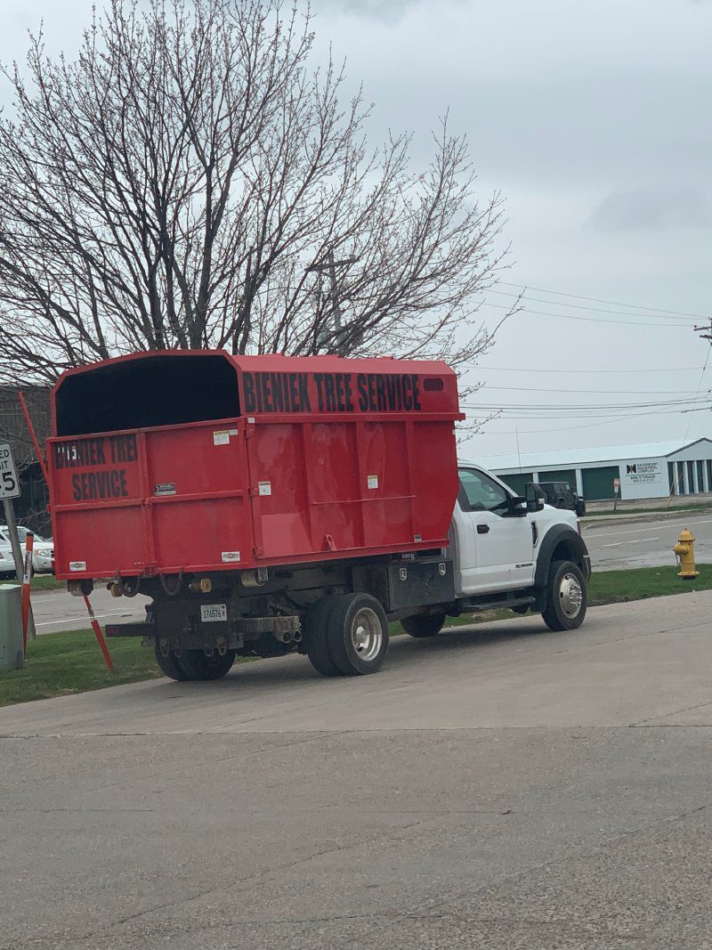tree services in east moline, tree cutting service