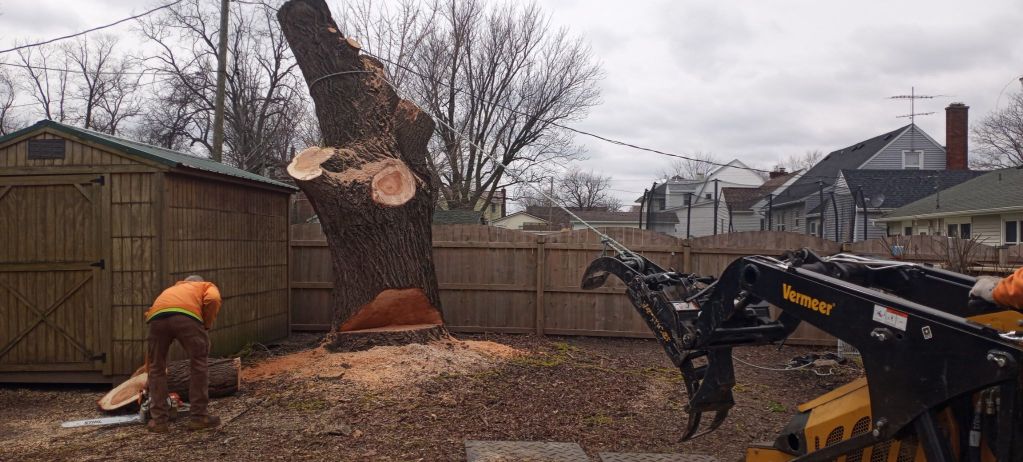 Tree removal in progress with a worker in safety gear using machinery, cut tree trunk and shed in backyard, emphasizing professional tree services in Moline.